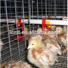 jaulas de pollo de aves de corral galvanizadas por inmersión en caliente de buena calidad